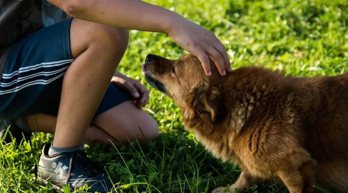 man with dog bending at knee