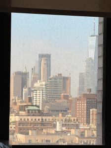 Room with a view